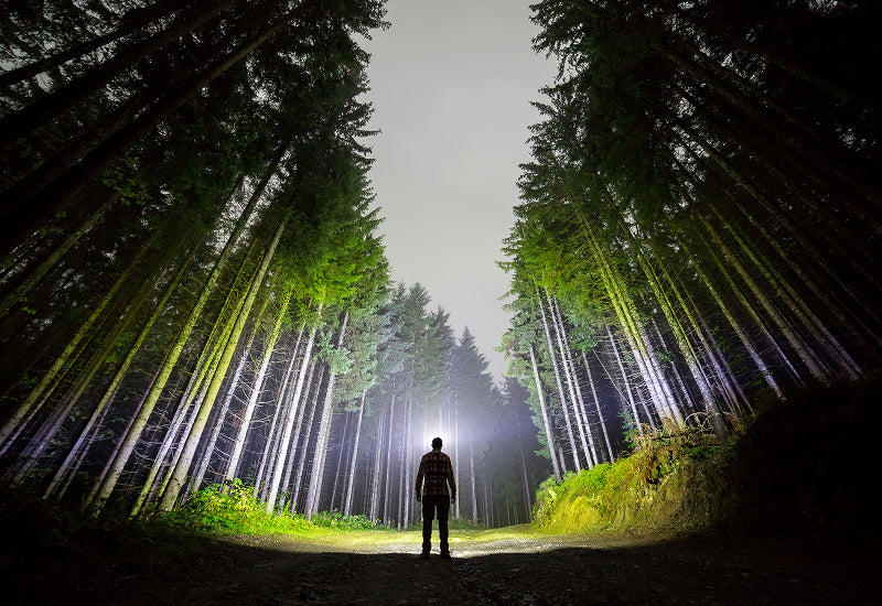 Sicherheit, Effizienz und unbeschwertes Erkunden